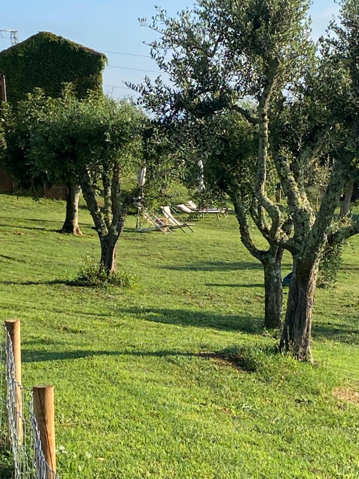 Palazzo Del Papa Country Apartamento *
